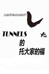 TUNNELSдҵĸ2013